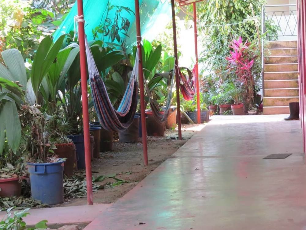 Tambopata Hostel Bambu Пуерто Малдонадо Екстериор снимка