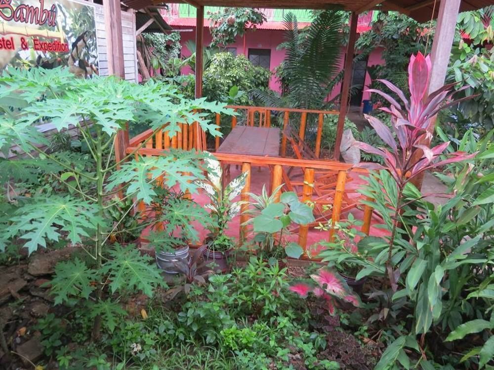 Tambopata Hostel Bambu Пуерто Малдонадо Екстериор снимка
