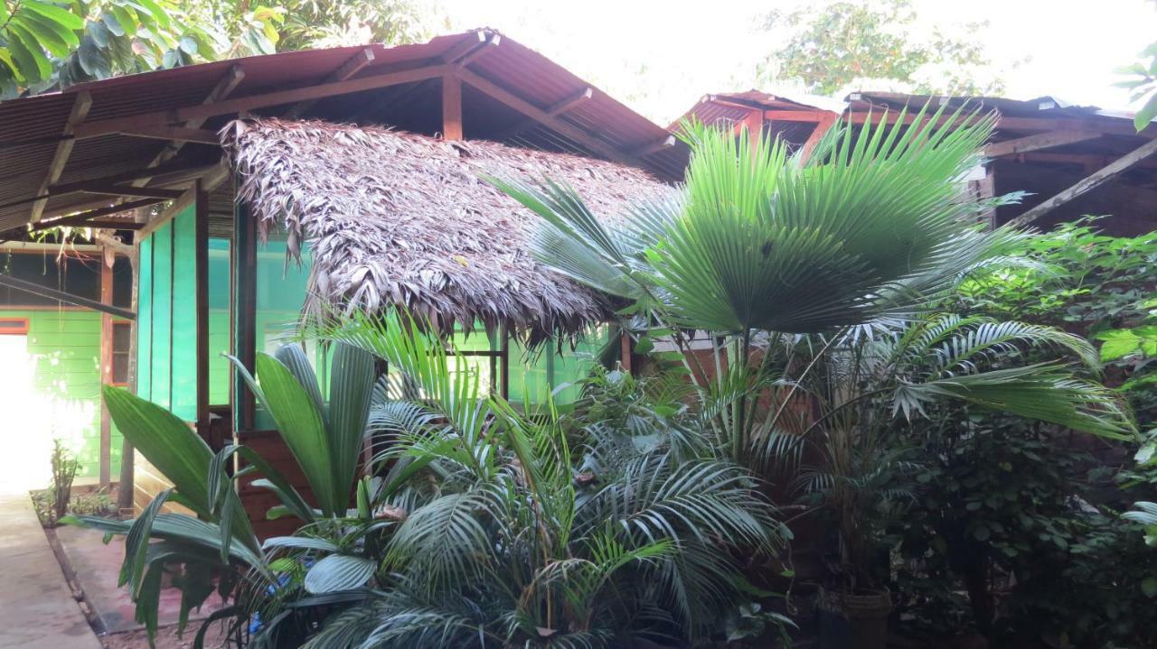 Tambopata Hostel Bambu Пуерто Малдонадо Екстериор снимка