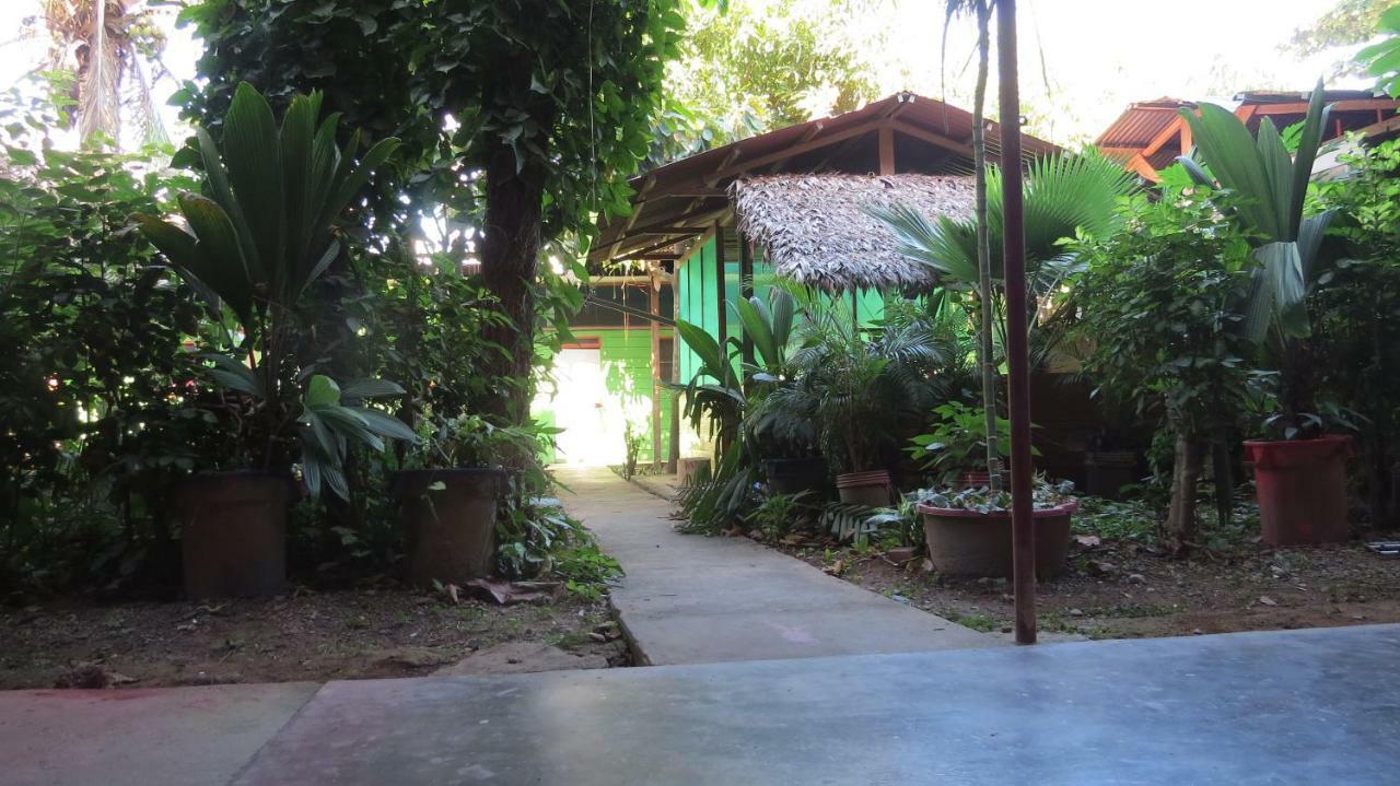 Tambopata Hostel Bambu Пуерто Малдонадо Екстериор снимка