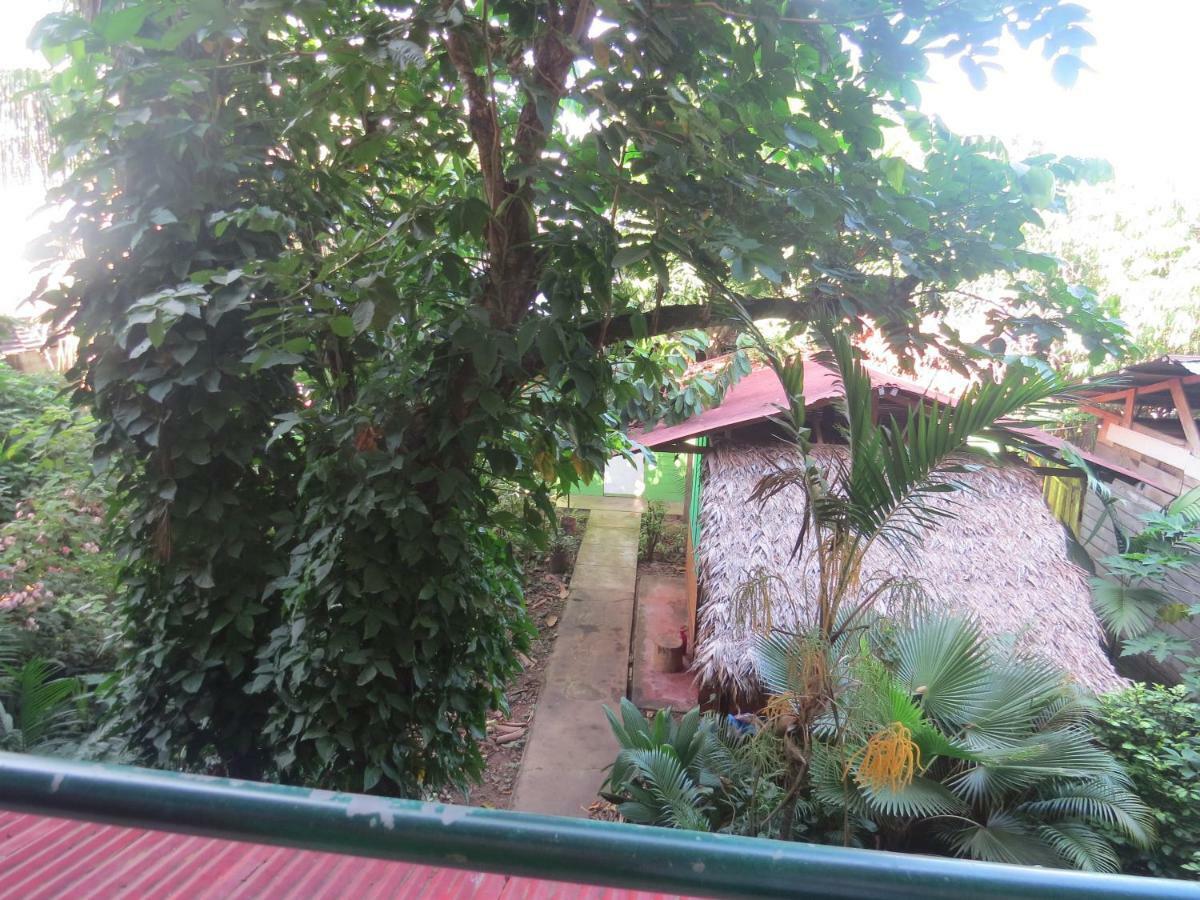 Tambopata Hostel Bambu Пуерто Малдонадо Екстериор снимка