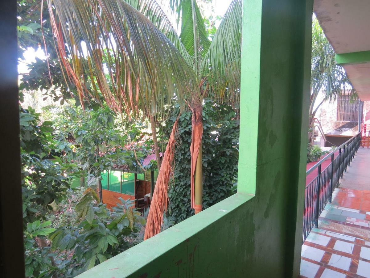 Tambopata Hostel Bambu Пуерто Малдонадо Екстериор снимка